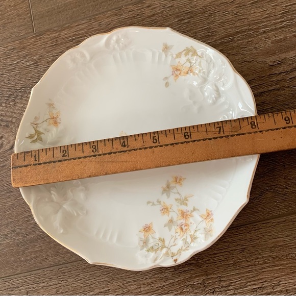 Vintage Carlsbad Plates From Austria - Picture 3 of 9